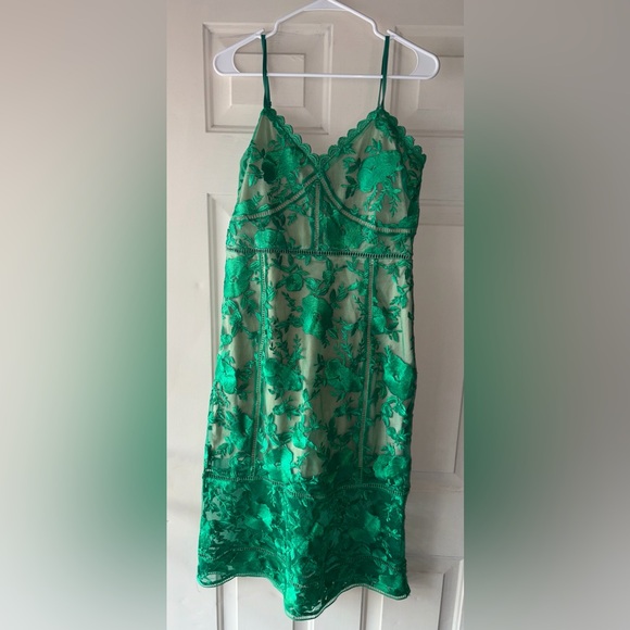Lulu's Emerald and Beige Dress - Picture 4 of 5